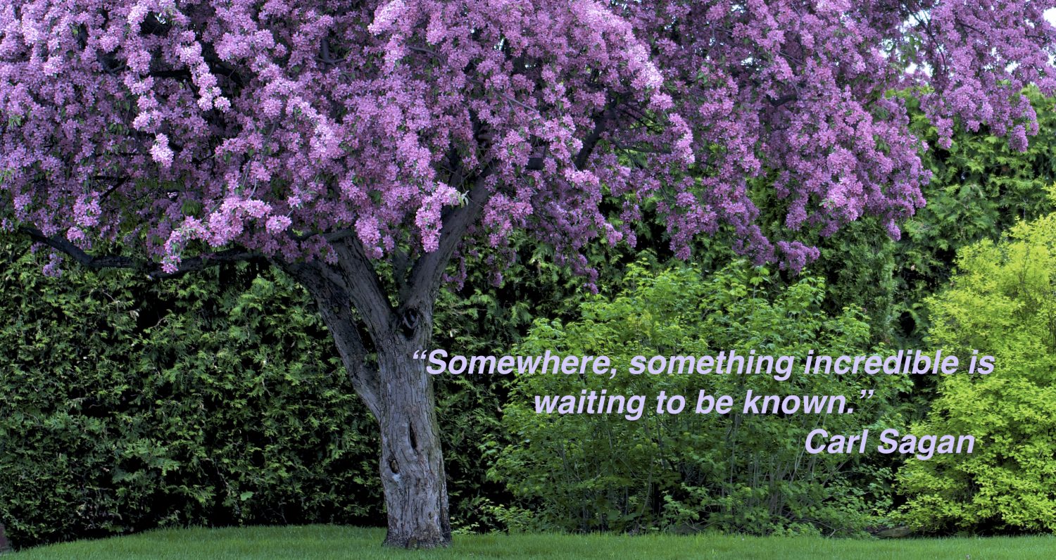 Joseph C. Monastra Foundation for Pancreatic Cancer Research